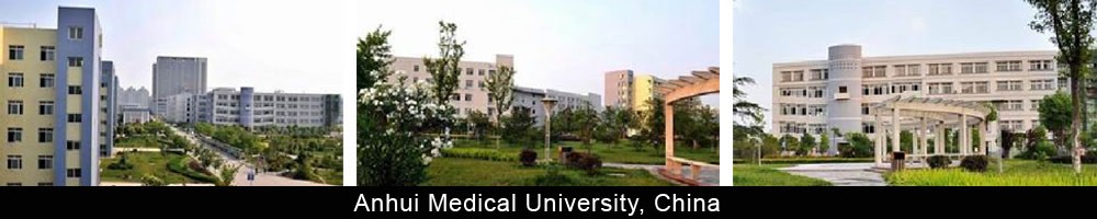 Consultant