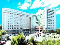 consultant